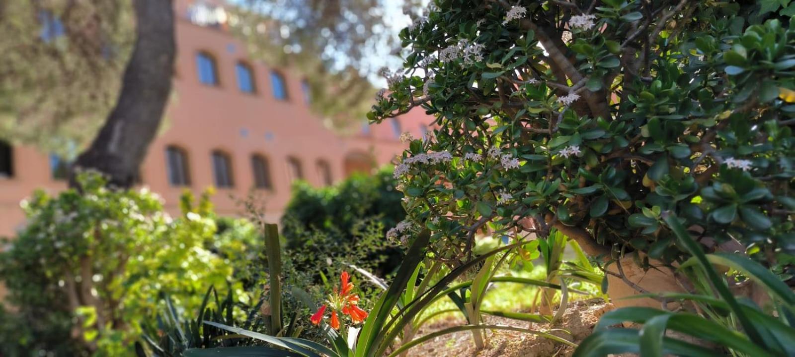 Albergue Rosa Molas Arrabal de Jesus ภายนอก รูปภาพ